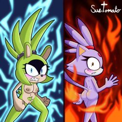 blaze the cat from sonic (series) by sustomato10