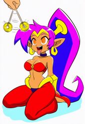 shantae (character) from capcom