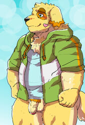 2020 anthro balls belly black_nose bluch canid canine canis clothing cu_sith_(tokyo_afterschool_summoners) domestic_dog flaccid genitals heart hoodie humanoid_genitalia humanoid_hands humanoid_penis kemono male male_only mammal overweight overweight_anthro overweight_male penis shirt solo tokyo_afterschool_summoners topwear video_games wiizeru3950