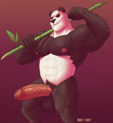 1boy anthro armpit_hair armpits balls bamboo bara beastars biceps big_balls big_muscles big_penis body_hair boner erection genitals giant_panda gouhin hi_res huge_balls huge_cock male male_only mammal muscular muscular_anthro muscular_male nipples nude panda pecs penis pubes red_background scar sharp_teeth solo ursid vein veiny_balls veiny_penis wolf_con_f