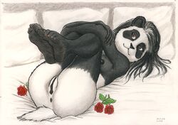 2019 anthro anus bed black_pussy breasts feet female flower furniture genitals giant_panda hair legs_closed lying mammal nude pillow plant pussy rose_(flower) solo syntech ursid