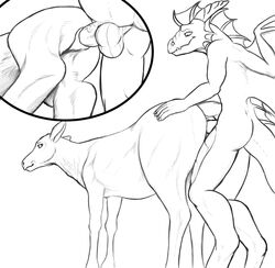 2020 5_fingers absurd_res anthro anthro_on_feral anthro_penetrating anthro_penetrating_feral anus balls cervid cervine cutaway dragon duo elk erection female female_penetrated feral feral_penetrated fingers genitals greyscale hand_on_butt hi_res horn line_art lizardlars looking_back low-angle_view macharius male male_on_feral male_penetrating male_penetrating_female mammal monochrome nude penetration penile_penetration penis quadruped scalie sex side_view simple_background standing straight vaginal_penetration vein veiny_penis white_background wings zoophilia