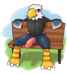 accipitrid accipitriform alewdandemocatto animal_crossing apollo_(animal_crossing) avian bald_eagle balls beak bench bird black_clothing black_topwear bottomless clothed clothing eagle feathers genitals glans hi_res humanoid_genitalia humanoid_penis looking_at_viewer male male_only monotone_beak nintendo penis sea_eagle sitting solo talons topwear video_games white_body white_feathers yellow_beak