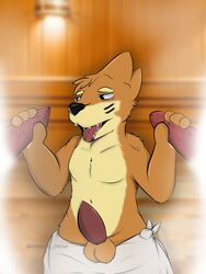 3:4 anatomically_correct anatomically_correct_genitalia apache_(artist) buizel duo furry genitals group group_sex handjob hi_res male male/male nintendo penile pokémon_(species) pokemon sauna sex threesome video_games