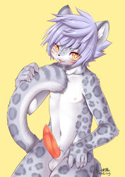 animal_genitalia animal_penis anthro balls biped black_nose blush bodily_fluids erection felid finger_claws fur genital_fluids genitals grey_body grey_fur grey_hair grey_spots hair hi_res holding_tail inner_ear_fluff kemono long_tail looking_at_viewer male male_only mammal nipples nude open_mouth pantherine pawpads penis pink_pawpads precum precum_on_penis shaded short_hair signature simple_background snow_leopard solo spots tongue tuft wolflong yellow_background yellow_eyes