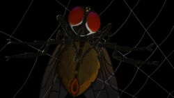 16:9 4k absurd_res anthro arthropod dipteran female hi_res horror_(theme) insects looking_at_viewer nightmare_fuel solo spider_web teratophile widescreen