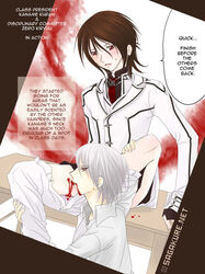 kaname_kuran male_only tagme vampire_knight zero_kiryu