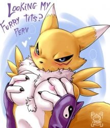 artist_request breasts digimon digimon_(species) female furry renamon