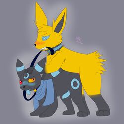 1:1 anal anal_sex blue_eyes blush canid canine collar eeveelution from_behind_position furry hi_res jolteon leash_pulling looking_back male_only mammal mounting nintendo paw_on_head penetration pokémon_(species) pokemon scarf sex shiny_pokémon simple_background temiest umbreon video_games