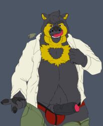 absurd_res anthro balls_in_underwear belly clothing erection foreskin grin hi_res male male_only mammal nivardo_(fursona) seiferwolfdragon simple_background slightly_chubby smile solo underwear undressing ursid