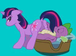 1boy 1girls animated buttercup_saiyan equine friendship_is_magic furry horse interspecies mammal my_little_pony penetration penis pony pussy sex smooth_skin spike_(mlp) twilight_sparkle_(mlp) vaginal_penetration