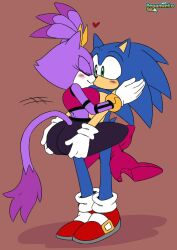 fan character from sega by nightslayer344