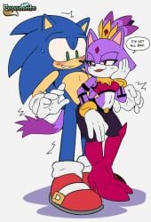 fan character from sega by nightslayer344