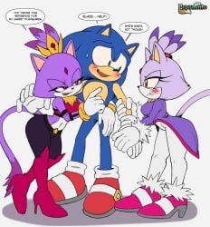 blaze the cat from sega by nightslayer344