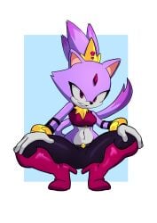 fan character from sega by nightslayer344