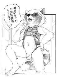 rocket raccoon from guardians of the galaxy