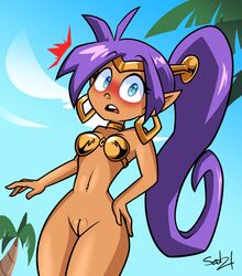 shantae (character) from shantae by sed2116