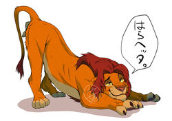 animal_genitalia animal_penis ass_up balls claws disney felid feline_penis feral genitals half-closed_eyes hi_res japanese_text lion male male_only mammal narrowed_eyes pantherine paws penis penis_tip sasamaru simba simple_background smile solo text the_lion_king white_background