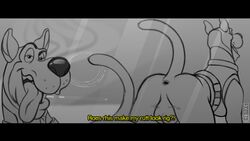 16:9 2020 anus ass black_bars canid canine canis domestic_dog feral great_dane hanna-barbera letterbox looking_at_viewer male male_only mammal mastiff mirror molosser monochrome open_mouth presenting presenting_anus presenting_hindquarters raised_tail rear_view scoob! scooby-doo scooby-doo_(character) smile solo tongue tongue_out ukent widescreen