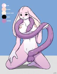 anthro balls breasts color_swatch conjoined feral floppy_ears furry futanari genitals gynomorph hi_res intersex juindalo kneeling lagomorph leporid lop_ears mammal nude penis penis_transformation pussy rabbit reptile scalie snake snake_penis transformation