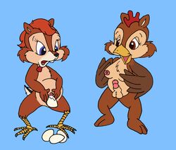 chip chip_'n_dale_rescue_rangers dale disney morgan_kohl nipples penis rule_63 testicles what