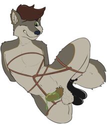 alpha_channel anthro bondage bound brown_hair canid canine canis condom dr_zombie green_eyes hair hi_res male male_only mammal restrained rope rope_bondage sexual_barrier_device solo tuton wolf