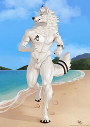 2020 animal_genitalia anthro athletic athletic_male balls beach canid canine canis casual_nudity chest_tattoo fur genitals hi_res looking_at_viewer maaia male mammal mane muscular nipples nude penis running seaside sheath smile solo tattoo tattooed_arm wolf