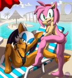 2girls amy_rose animal_ears ass bat bat_wings beach beach_chair big_ears breasts couple duo ear female female_only half-closed_eyes hedgehog hedgehoglove multiple_girls pink_fur pink_hair pussy_slip rings rouge_the_bat sand sea seaside sling_bikini sonic_(series) sonic_the_hedgehog_(series) summer swimsuit water white_fur white_hair white_skin wings