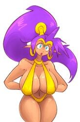 shantae (character) from shantae by mokkoyu