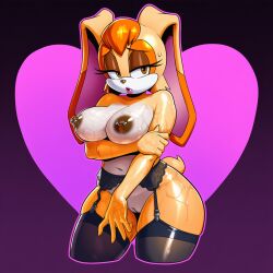 vanilla the rabbit from sonic (series)