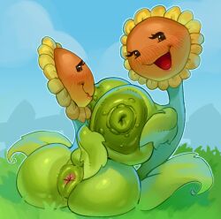 sunflower (pvz) from plants vs zombies by sappu