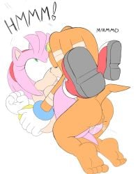 amy rose from sega by neo x6