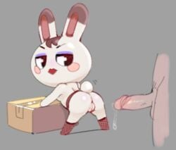 1boy animal_crossing brown_hair bunny erection exed_eyes female fishnets nintendo precum precum_drip presenting_pussy rabbit stockings tiffany_(animal_crossing) white_fur