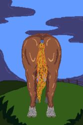 2:3 animated anus balls breeze equid equine feral field genitals horse iron-blade male male_only mammal meadow penis pixel pixel_art rear_view short_playtime solo sprite