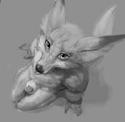 2020 animal_genitalia anthro blizzard_entertainment canid canine digital_media_(artwork) fox genitals greyscale kneeling looking_at_viewer male male_only mammal monochrome penis penis_tip sheath solo tealtentacles tongue tongue_out video_games vulpera warcraft