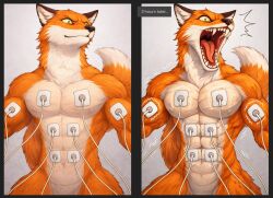 abs ai_generated anthro athletic athletic_anthro athletic_male biceps electrodes electrostimulation ems_exercise_machine fox furry furry_male muscle_growth muscle_tone muscular muscular_anthro muscular_male navel nipples nude painful_transformation pecs ripped_muscles screaming sequence test_subject toned_body workout