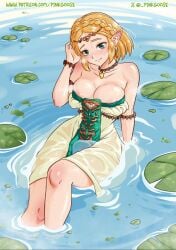 princess zelda from tears of the kingdom by gurinsensei