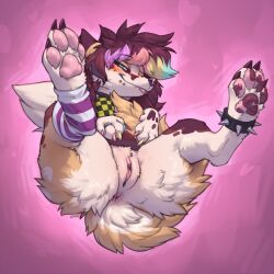 koira fan art