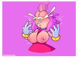 amy rose from sega by tweedleevil
