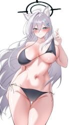 shiroko (blue archive) from blue archive