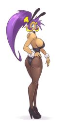 bunnygirl from shantae by mokkoyu