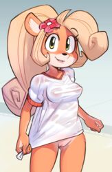 activision ahoge aliasing animal_ears blonde_hair blush breasts casual clenched_hands coco_bandicoot cowboy_shot crash_(series) female female_focus flower flower_on_head fur gluteal_fold gradient gradient_background green_eyes grey_background happy heart high_resolution huge_ahoge light_blush long_hair looking_at_viewer medium_breasts navel nipples no_bra no_humans no_panties parted_lips ponytail see-through shirt shirt_tug short_sleeves simple_background smile solo standing teeth tied_hair topwear uncensored vagina wamudraws wet wet_clothes wet_shirt white_shirt