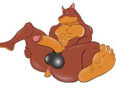 4:3 abs absurd_res anthro anus balls big_balls big_penis brown_body brown_fur canid canine canis dobermann domestic_dog feet fur genitals gypsy_king_(artist) hi_res huge_balls huge_cock humanoid_genitalia humanoid_penis hyper hyper_balls hyper_genitalia hyper_penis male male_only mammal muscular nude penis pinscher pose simple_background solo spread_legs spreading