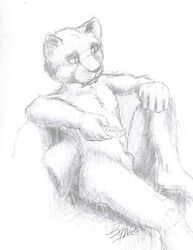 animal_genitalia domestic_cat drawing felid feline felis genitals hopping male male_only mammal nude pencil_(disambiguation) sheath sketch television