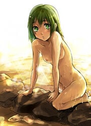 1girls erin_(kemono_no_souja_erin) female_only green_eyes green_hair kemono_no_souja_erin looking_at_viewer naked_female nude_female solo solo_female tagme wet