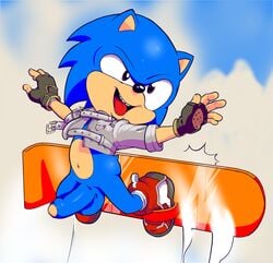 anthro armwear balls bottomless clothed clothing erection eulipotyphlan footwear genitals gloves hedgehog hi_res humanoid_genitalia humanoid_penis male male_only mammal mostly_nude neokat penis shoes snowboard socks solo sonic_(series) sonic_the_hedgehog sonic_the_hedgehog_(series) uncut