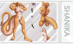 5:3 absurd_res anthro breasts feet female genitals hi_res model_sheet mtfoxx muscular muscular_anthro muscular_female non-mammal_breasts nude pussy reptile scalie snake soles solo