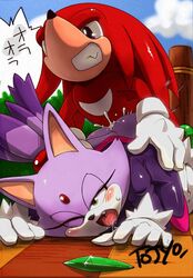 blaze_the_cat echidna feline female knuckles_the_echidna male male/female sonic_(series) sonic_the_hedgehog_(series) straight tagme text tojyo