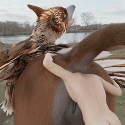 1:1 3d_(artwork) absurd_res ambiguous_gender anal anal_sex anal_vore anus ass avian duo female feral gryphon head_in_ass head_insertion hi_res human lake male mammal mythological_avian mythology outside penetration racf92 scenic_view straight vore woodland