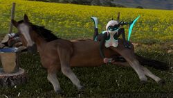 16:9 4k absurd_res anthro duo equid equine feral fish hi_res mammal marine shark sharkie sharkieee widescreen